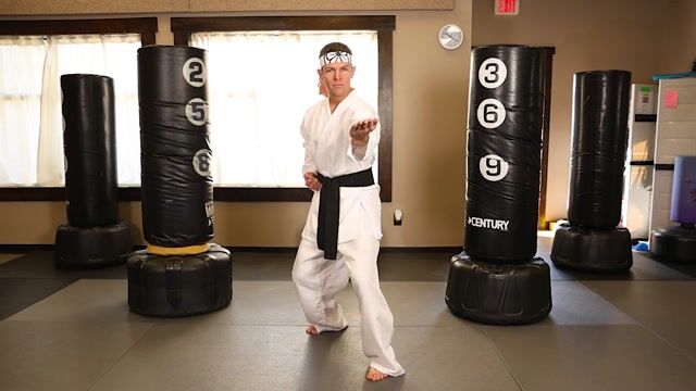 KAR2227AD Karate Kid Daniel San Costume for Adults