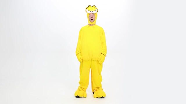 GAR2504AD Adult Garfield Costume
