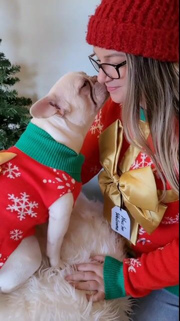 Whether you're attending a festive family gathering, taking holiday photos, or simply enjoying a winter walk, this Christmas Present Pet Sweater is the ideal outfit for your four-legged companion.